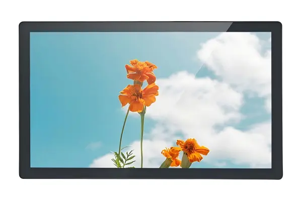 High Brightness Monitors